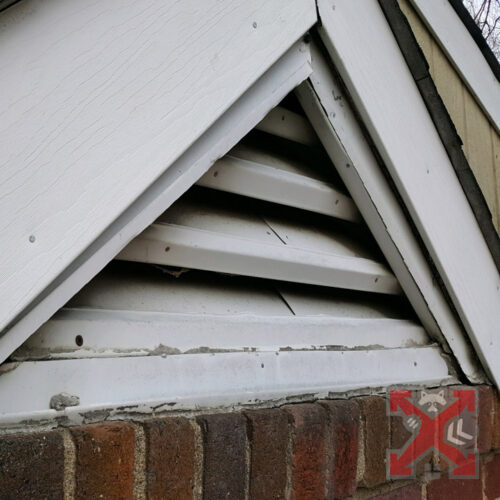 Attic Damage by Wildlife